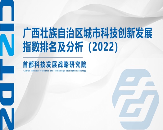 大尺度黄色操逼视频【成果发布】广西壮族自治区城市科技创新发展指数排名及分析（2022）